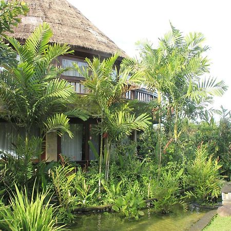 Taman Wana Resort Palasari Negara  Exterior photo